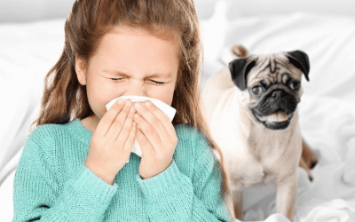 Alergia w Totalnej Biologii